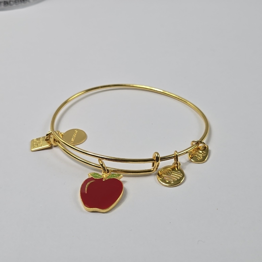 Alex And Ani Gold Tone Red Apple 2017  Charm Bracelet - Picture 14 of 15